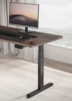 Ergo Desk Prime в интерьере