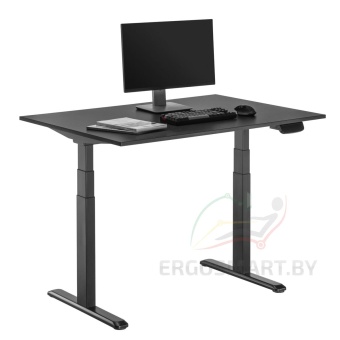 Ergo Desk Prime со столешницей