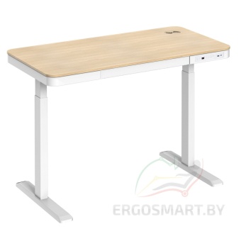 Стол регулируемый Ergosmart Charged Desk