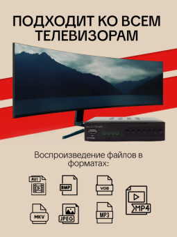 Приемник цифрового ТВ GoldMaster T-717HD форматы файлов