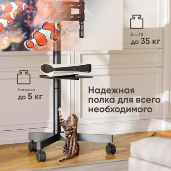 ONKRON TS1131 - ТВ и полка